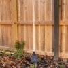 69ecdd92e130753b774d451be5caaa3735f3896c9f3e67708364d.jpg 8-inch Wooden-Handled Polyester Shrub and Leaf rake